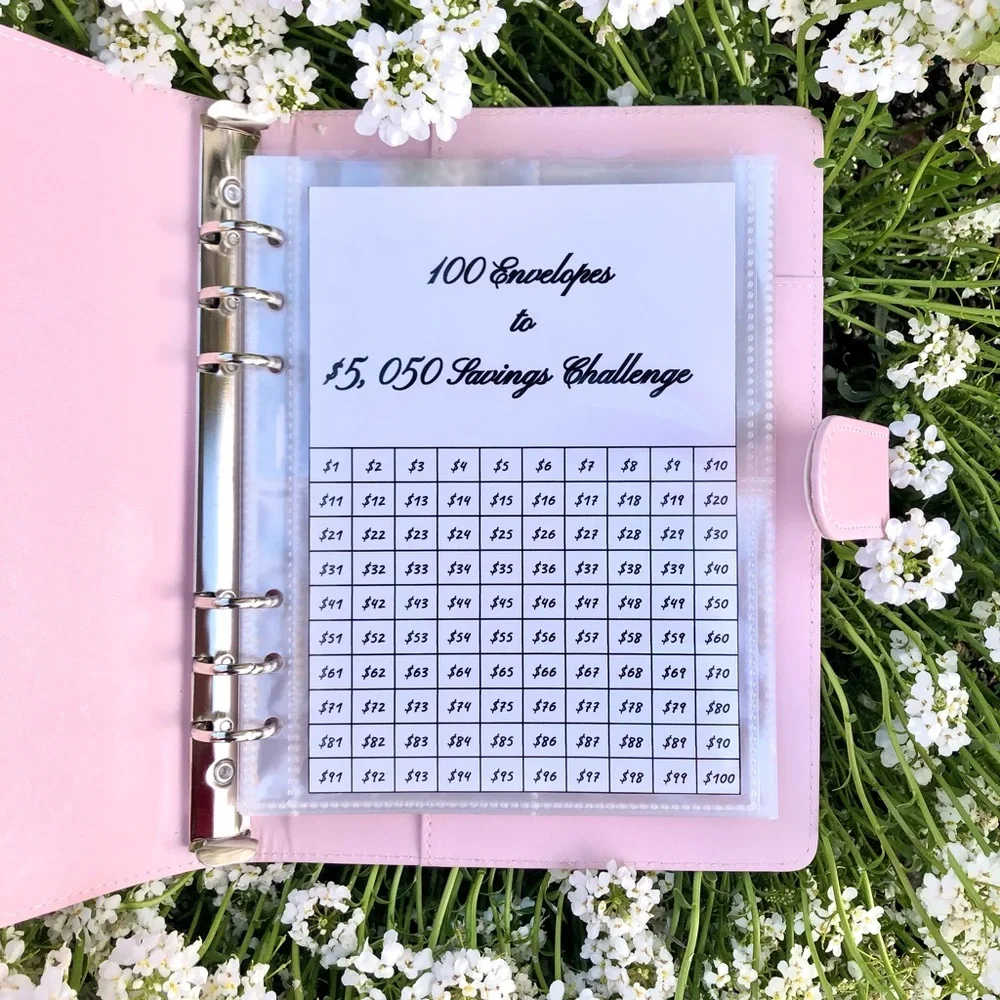 Money Stuffing Challenge Tracker (100 Envelopes)